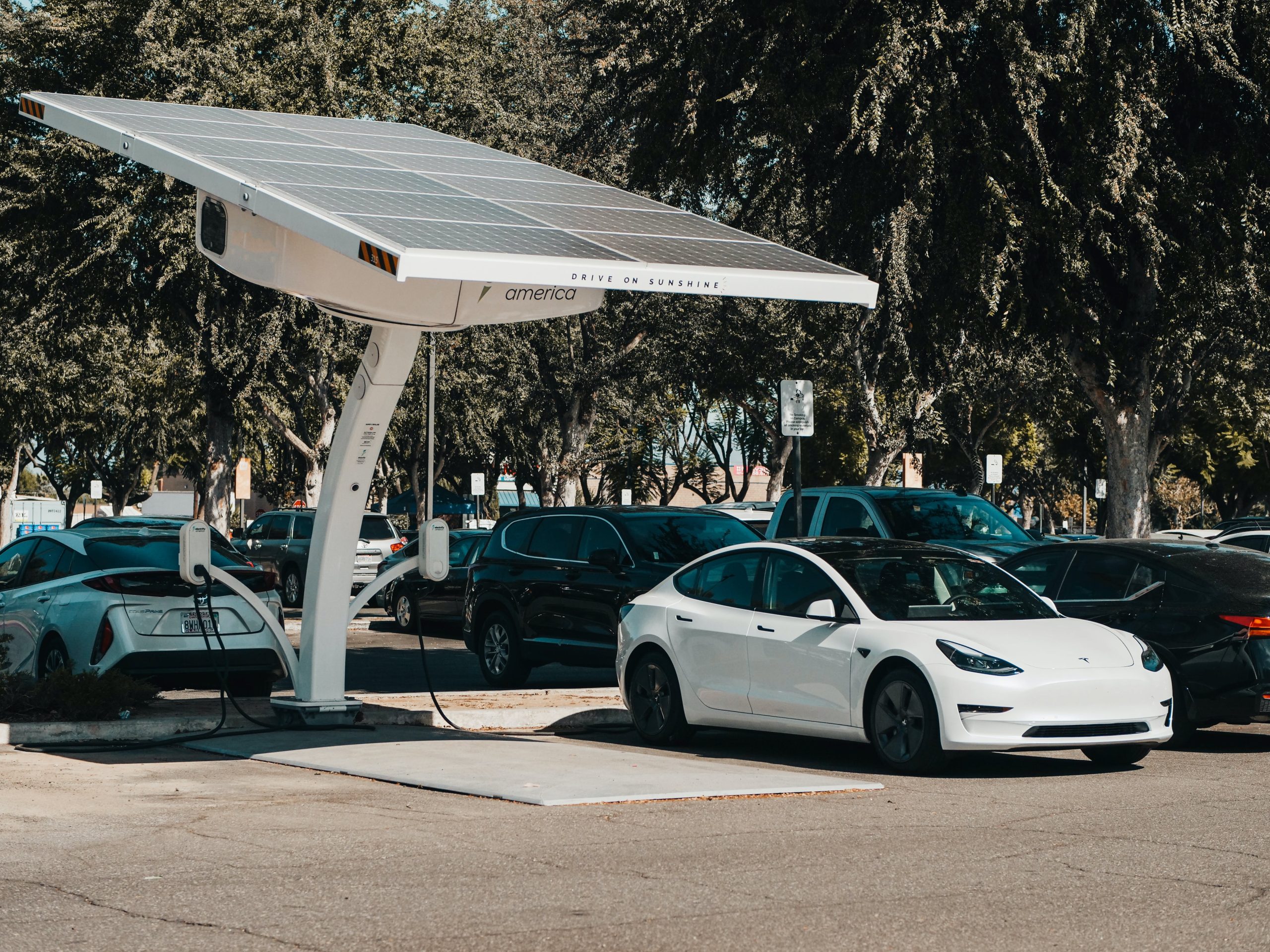 Renting de coches eléctricos: Una opción sostenible para cuidar el medio ambiente